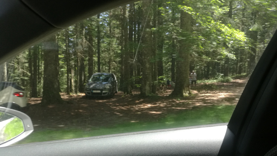 Многие, в основном пенсионеры, съезжали с дороги, ставили складные кресла и наслаждались благодатной прохладой горного леса. — Audi A4 (B9)