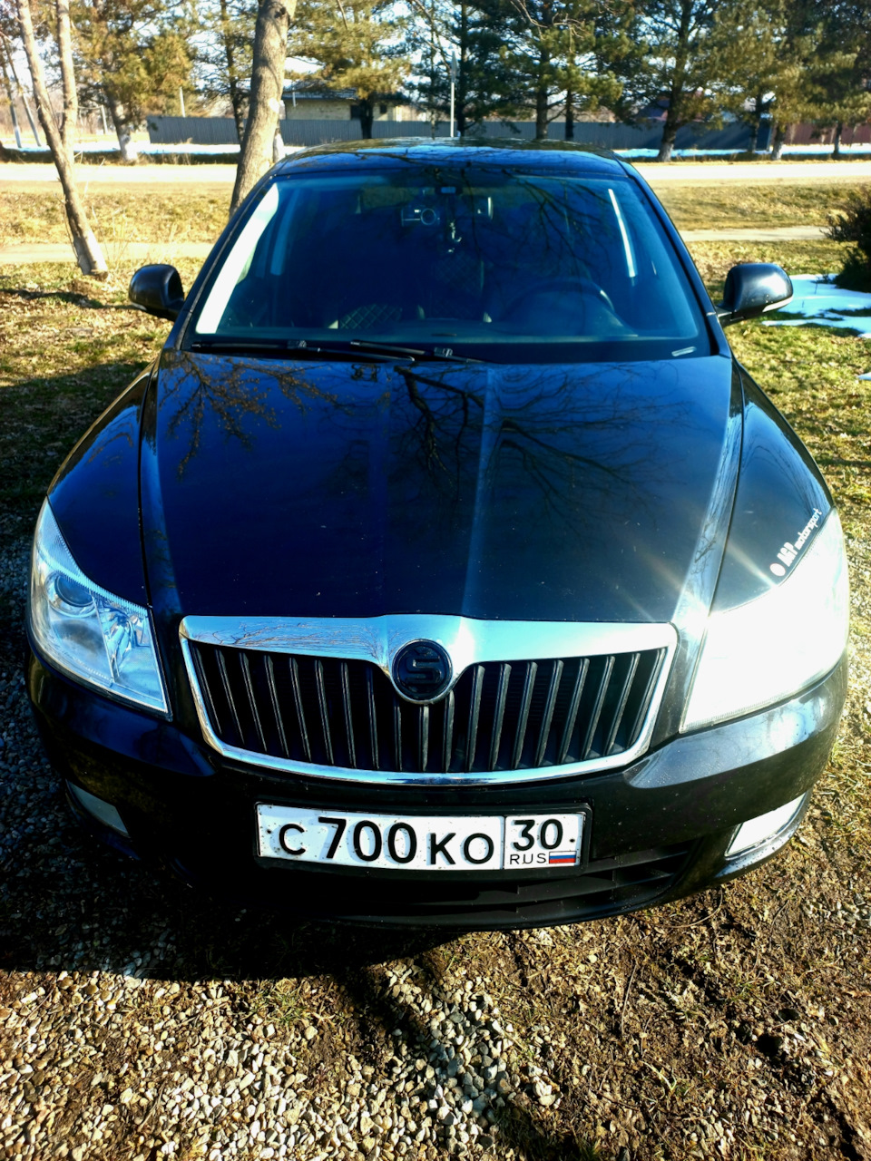 Black Эмблема с али — Skoda Octavia A5 Mk2, 1,8 л, 2011 года | стайлинг |  DRIVE2