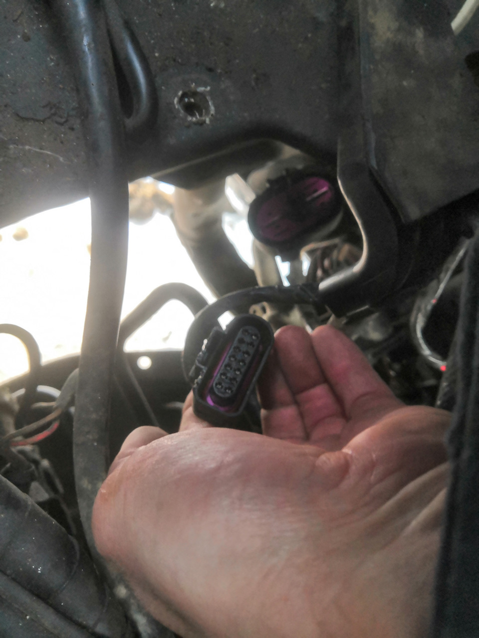 Фото в бортжурнале Skoda Octavia A4 Mk1