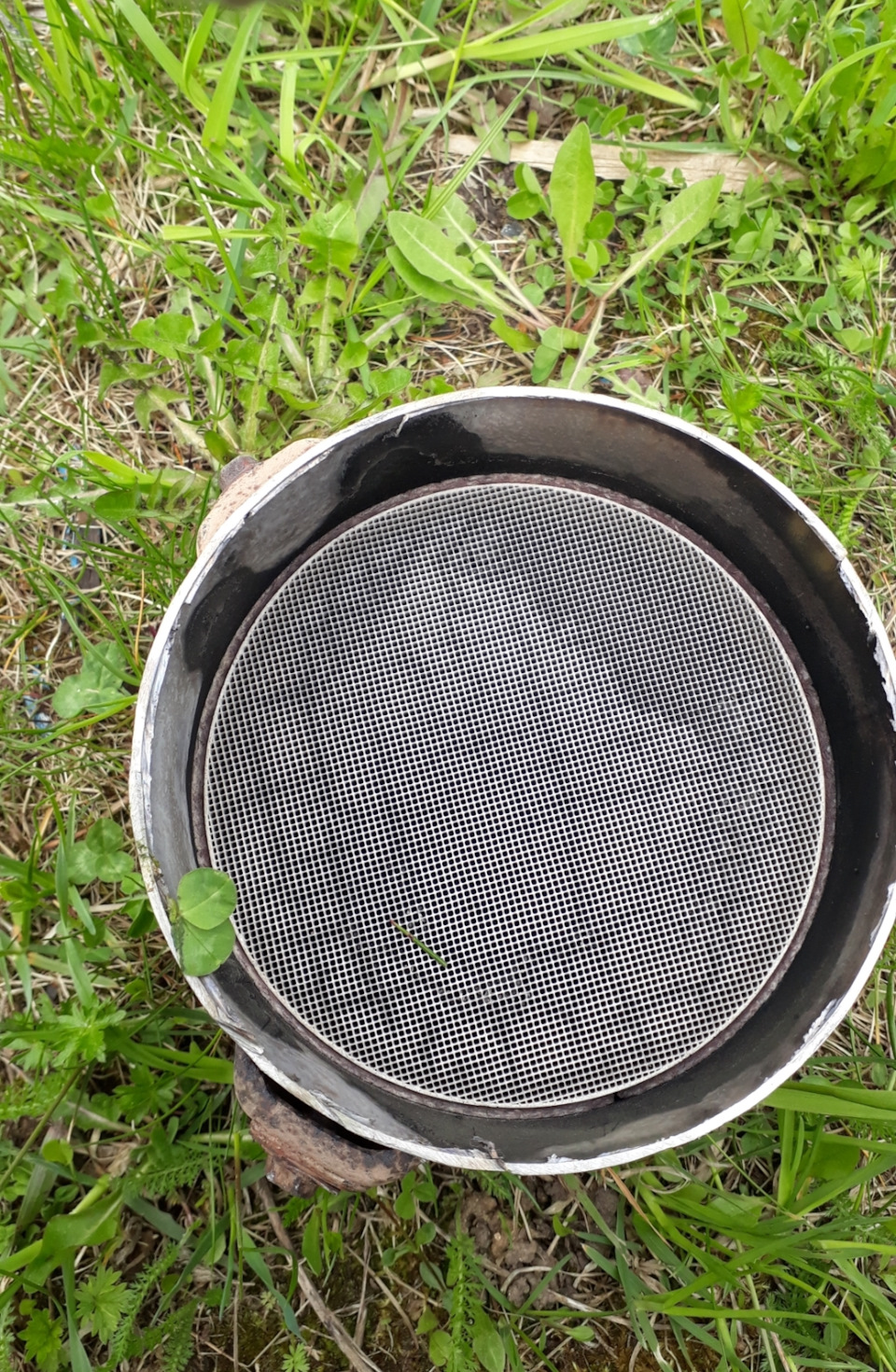 Фото в бортжурнале Ford Focus II Sedan