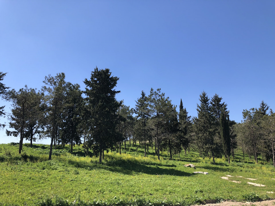 Фото в бортжурнале Suzuki Jimny (1G)