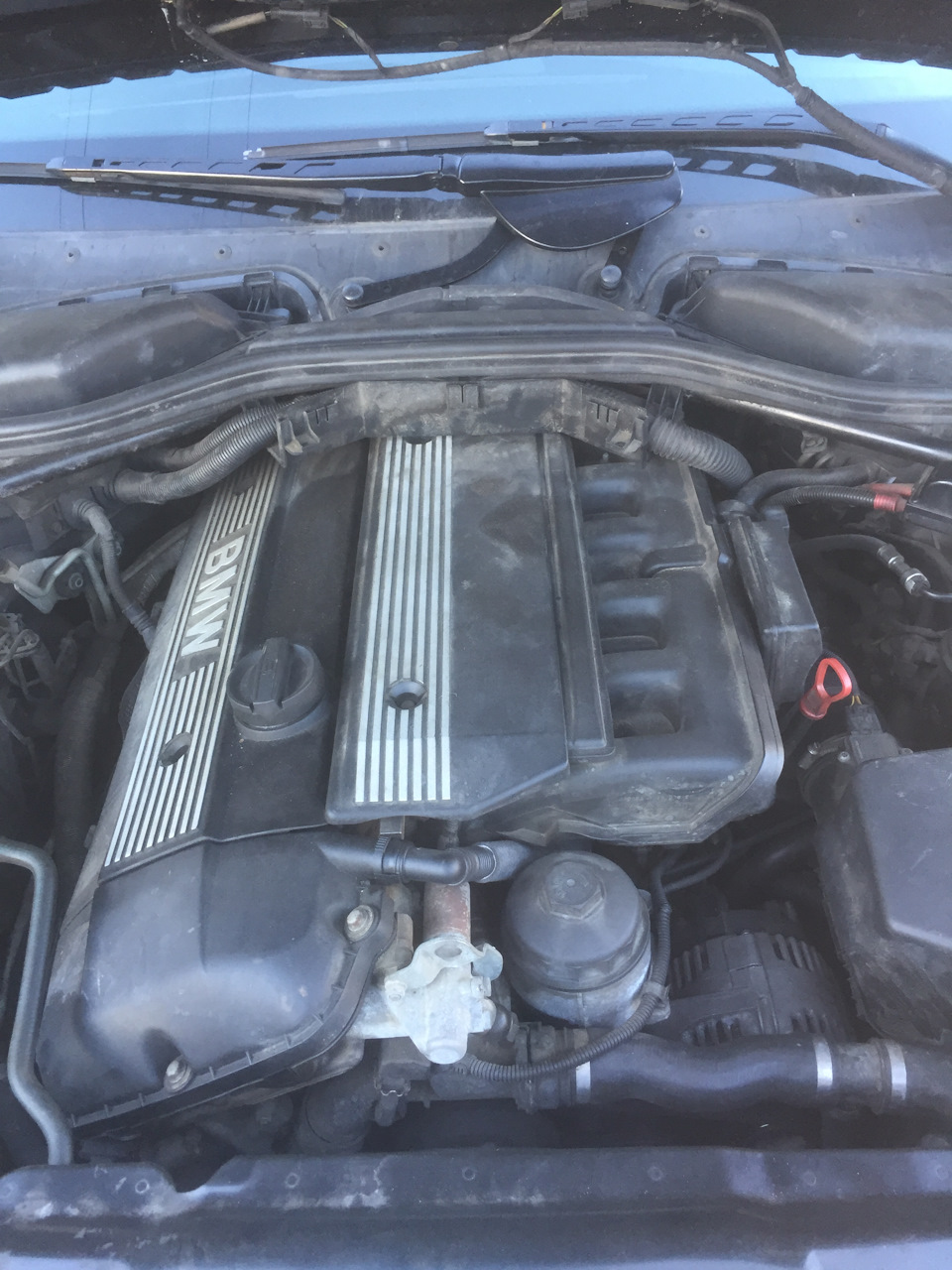 Встречайте) Купил Е60. Барыга пост. — BMW 5 series (E60), 2,5 л., 2004 ...
