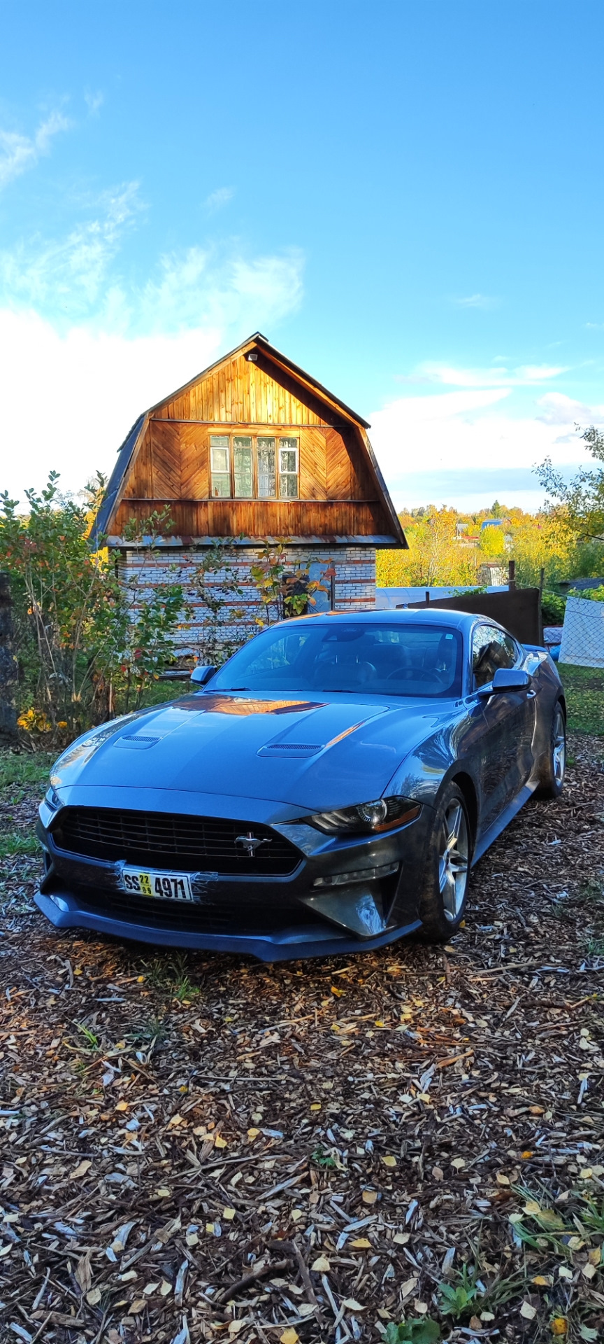 У меня Мустанг у Бабушки в деревне — Ford Mustang (6G), 2,3 л, 2021 года |  фотография | DRIVE2