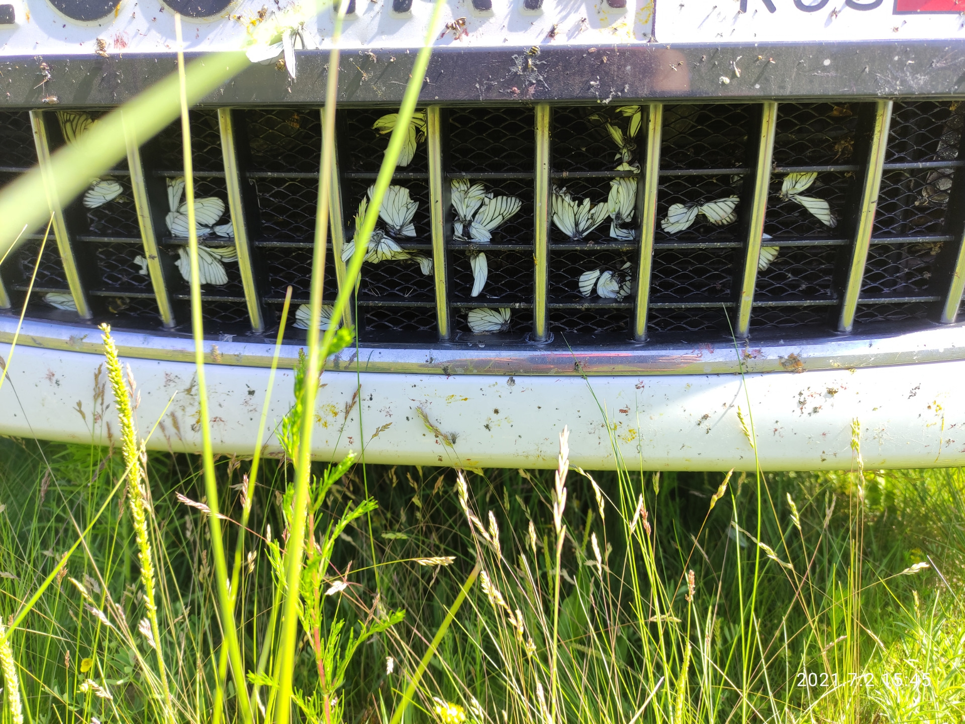 Так оставьте ненужные споры… — Peugeot 4007, 2,4 л, 2012 года | своими ...