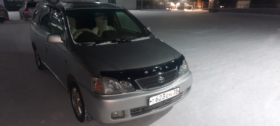 Мухобойка мне в капот — Toyota Gaia, 2 л., 2001 года | аксессуары | DRIVE2