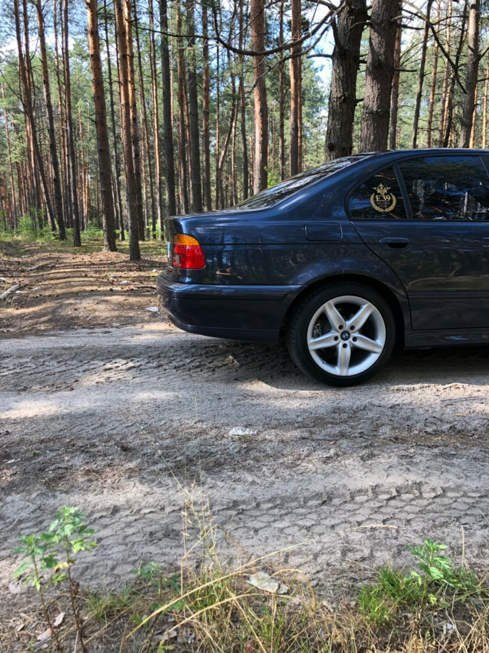 Диски — BMW 5 series (E39), 3 л, 2001 года | колёсные диски | DRIVE2