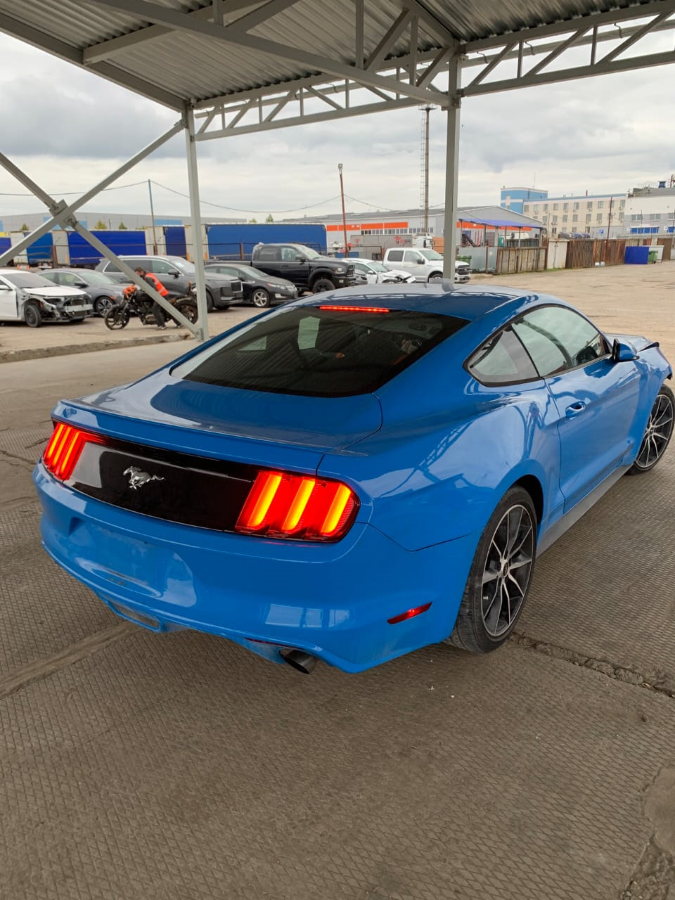 Исполнение маленькой мечты ) Мой первый автомобиль . — Ford Mustang (6G),  2,3 л, 2017 года | покупка машины | DRIVE2