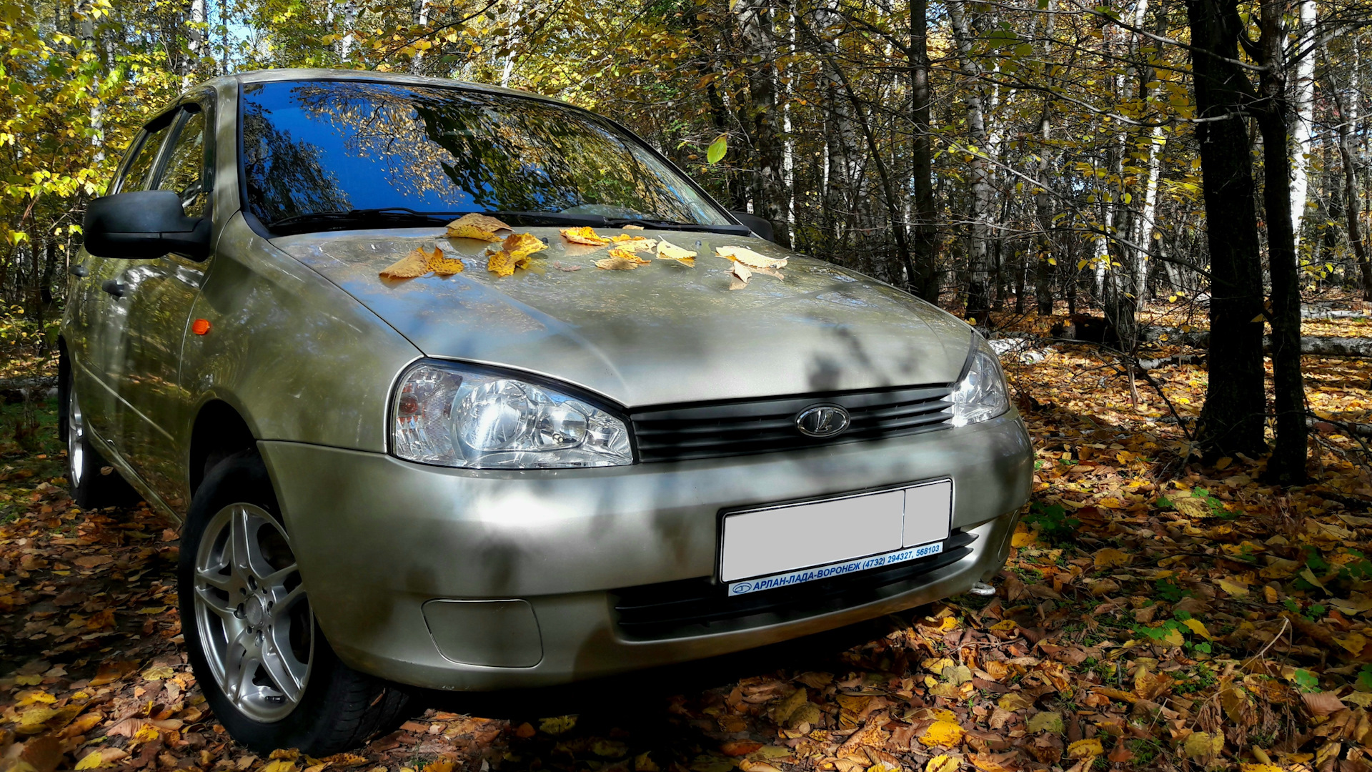 Lada Калина универсал 1.6 бензиновый 2010 | на DRIVE2