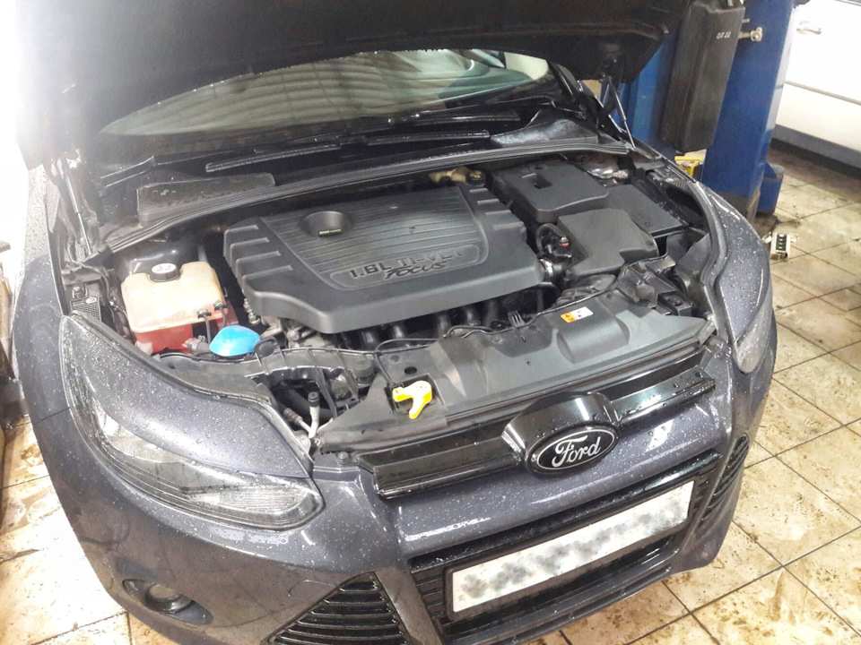 Ну вот и все, фильтры с маслом свежие, поехали за грибами ))) — Ford Focus Hatchback III