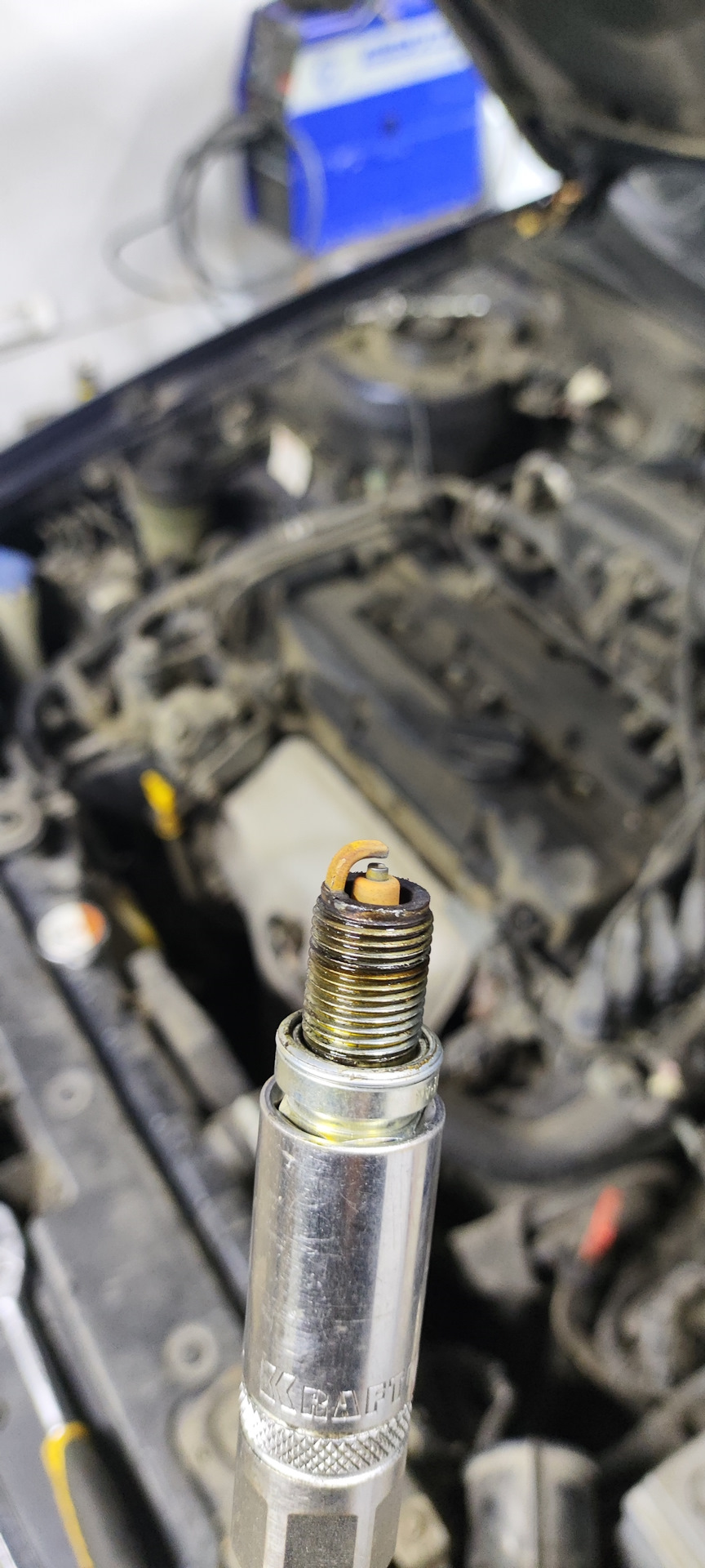 Ржавая как со дна морского -_- — Hyundai Elantra (3G)