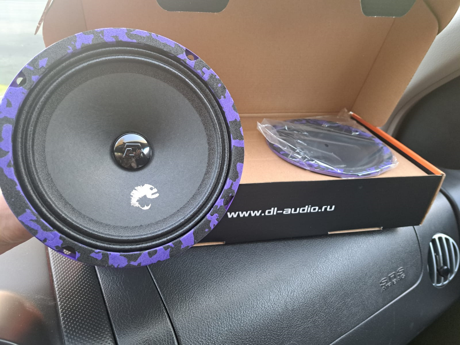 Dl audio piranha 165