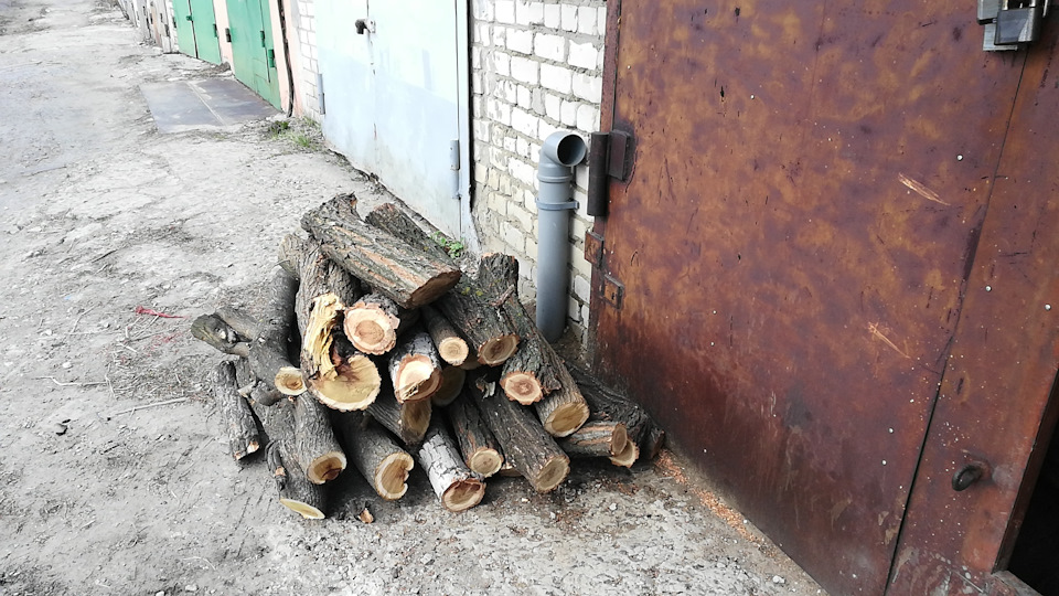 Санитарная обрезка деревьев = халявные дрова. — DRIVE2