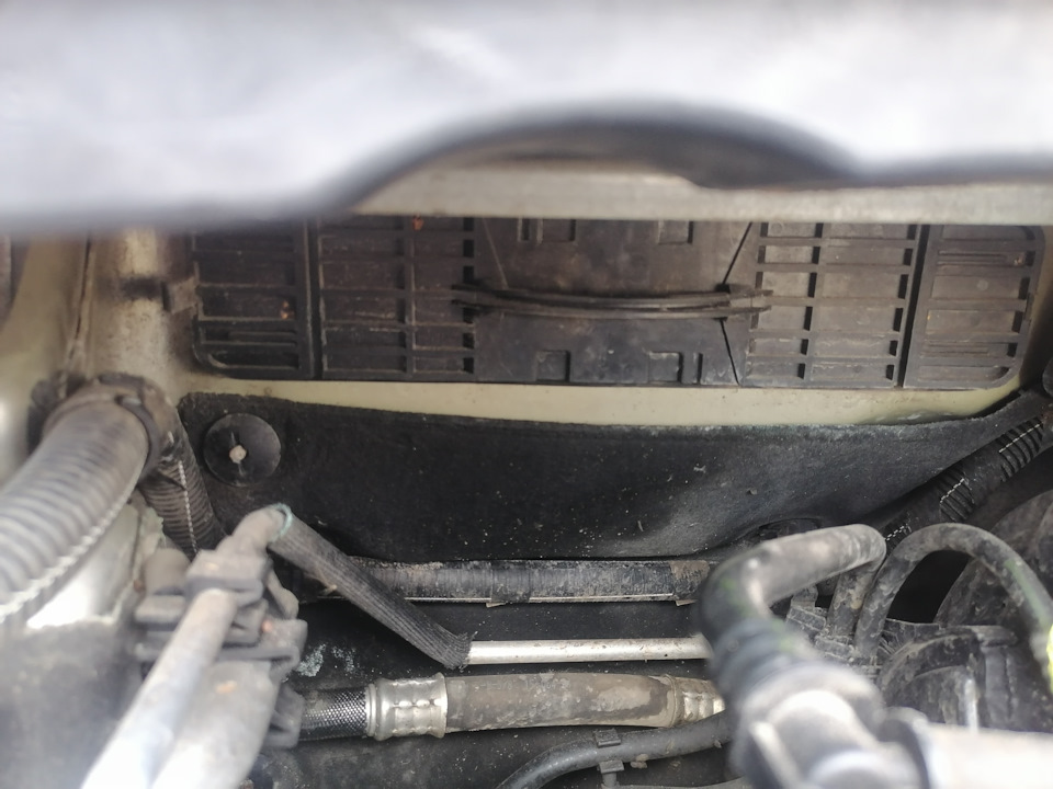Photo from the logbook Citroen C4 L