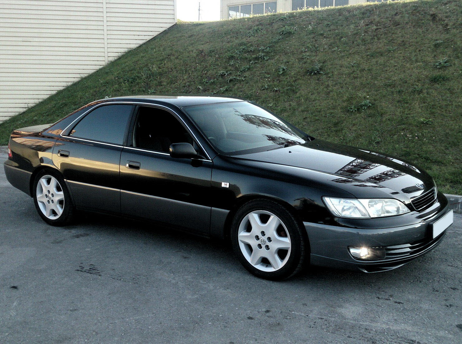 Виндом 10. Toyota Windom 2. Тойота Виндом 1996 2.5. Toyota Windom 2.5 g. Toyota Windom r18.