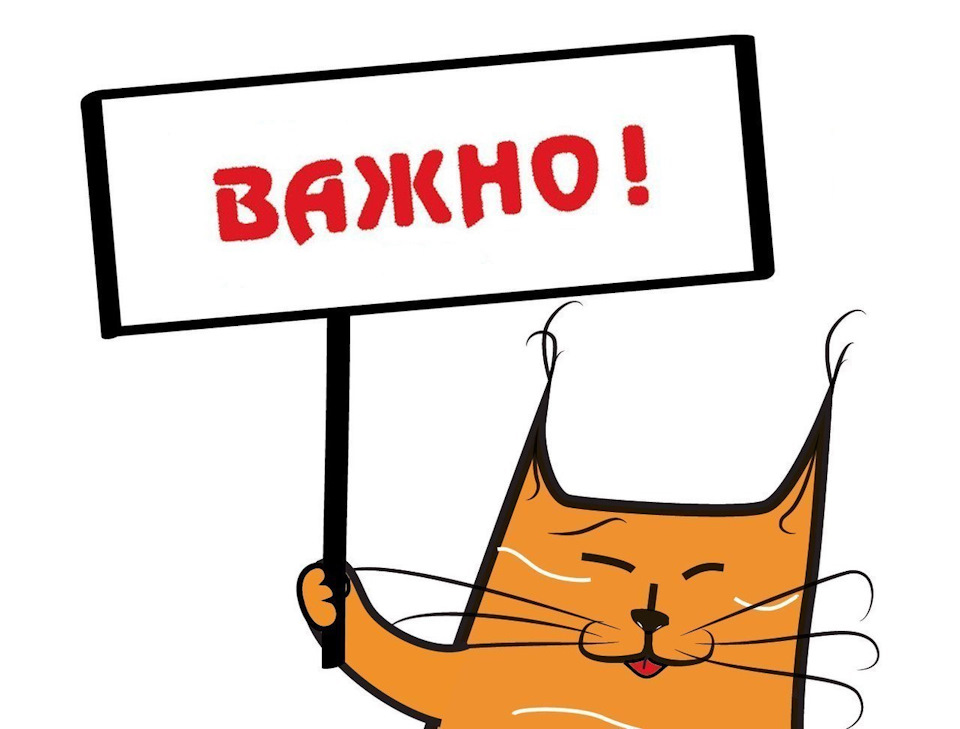 Прикольные картинки на презентацию
