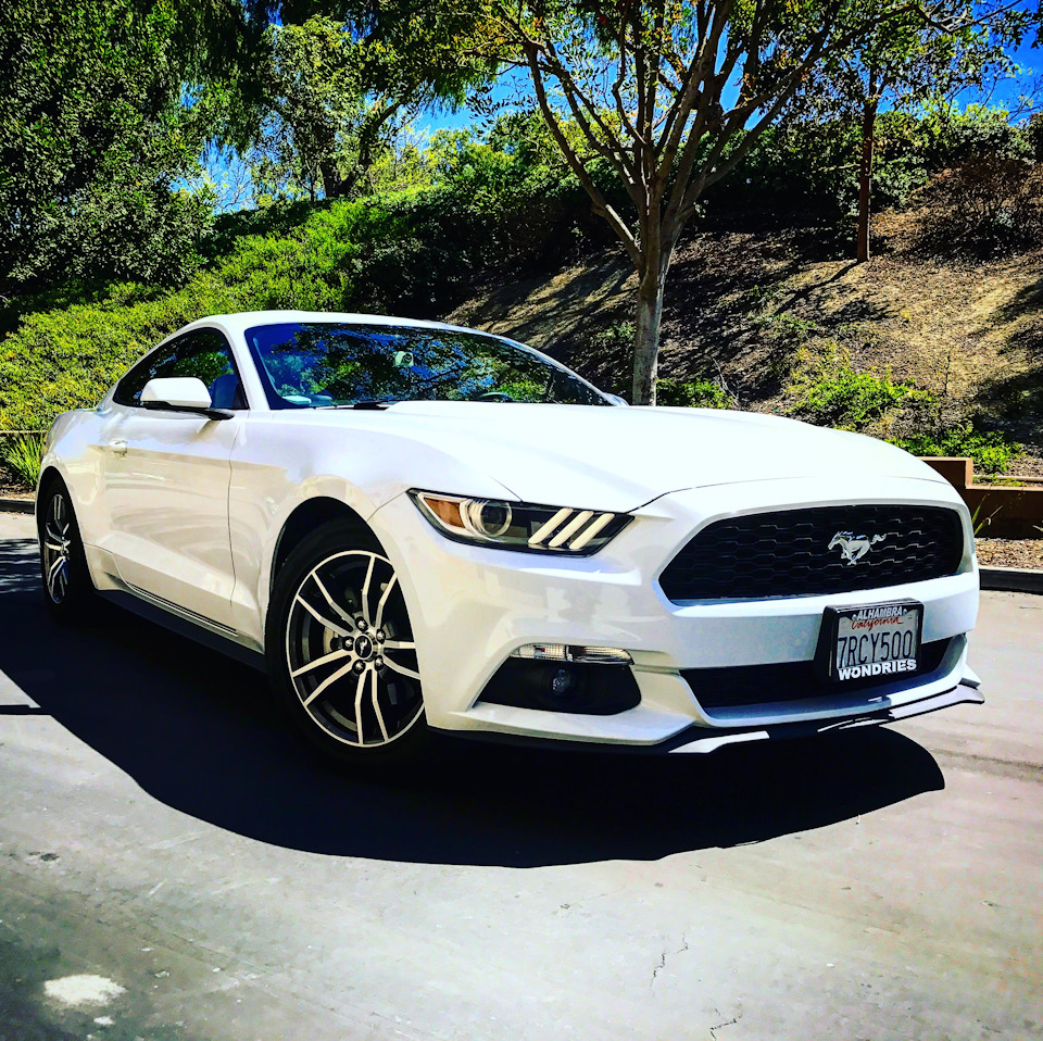 Ford Mustang 6