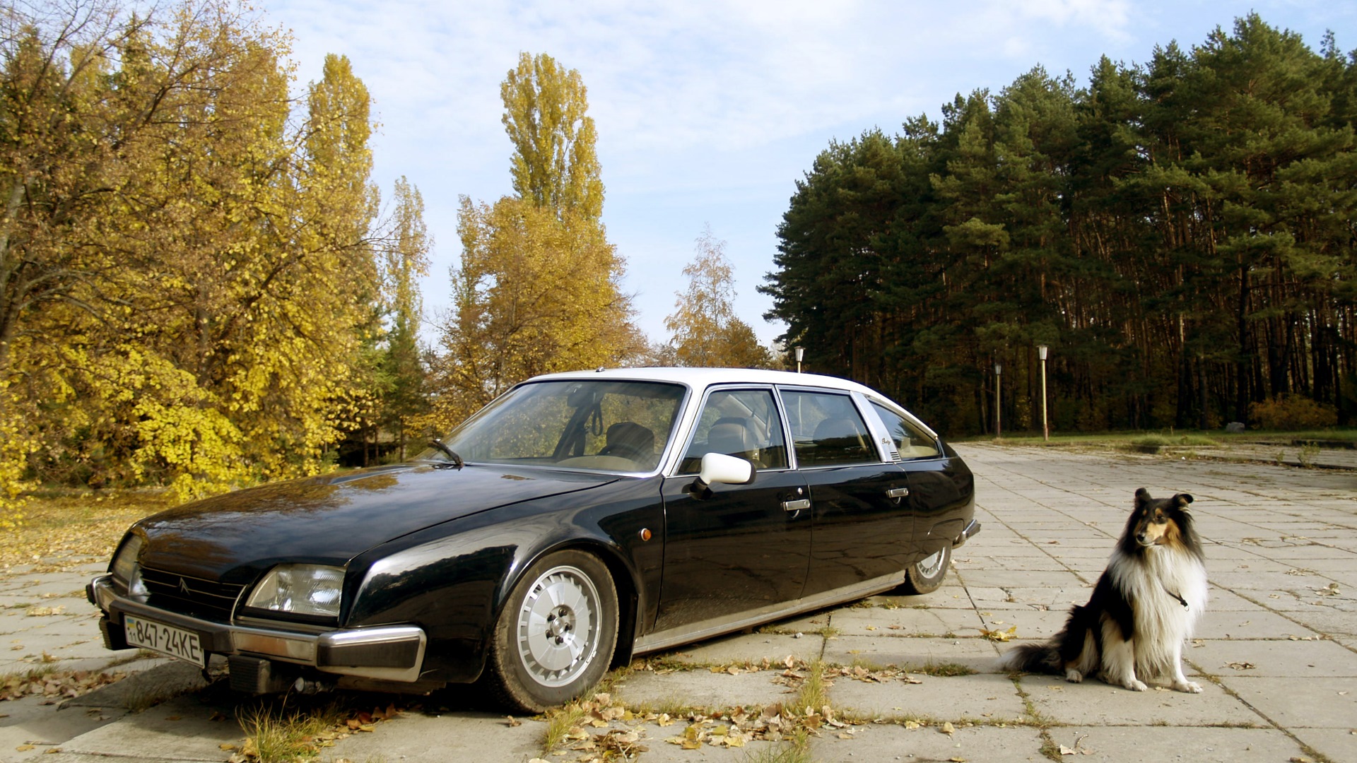 Citroen CX 2.5 бензиновый 1985 | 2.5 Prestige Turbo на DRIVE2