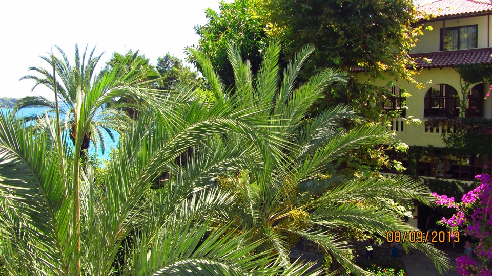 Отдых в Турции (машина на прокат) — Toyota Corolla (120), 1,6 л, 2006 ...