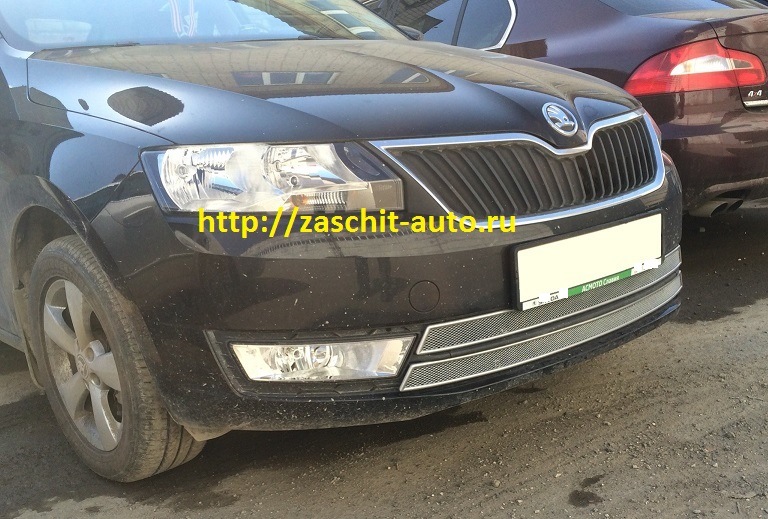 Металлическая защита радиатора "SKODA RAPID", с 2012 г. — ЗАЩИТА ...