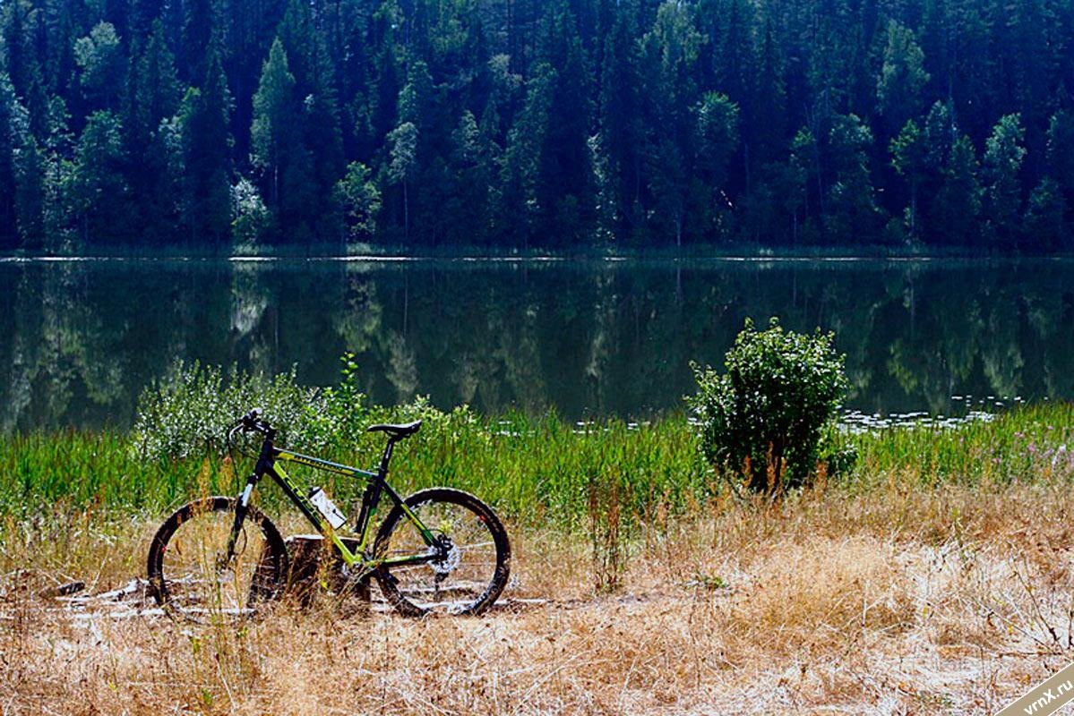Велосипед для деревни. Велосипед на природе. Лето велосипед. Велосипед летом. Велосипед у реки.