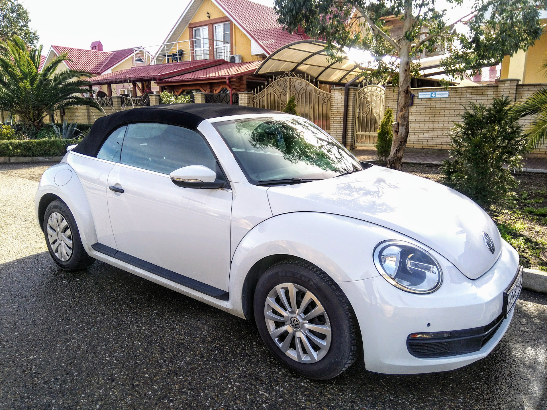 Volkswagen beetle a5