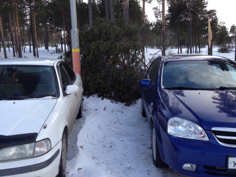 Погода в Когалыме — Ford Escape (1G), 3 л, 2004 года | просто так | DRIVE2