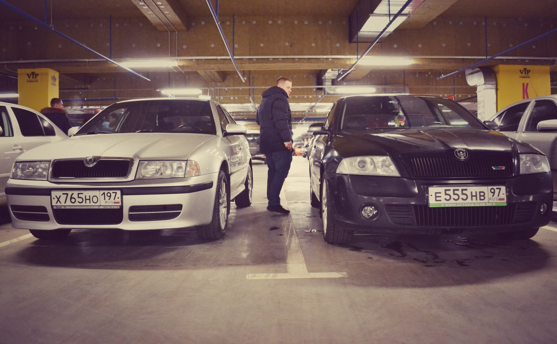 ������� ���� ��� �������� �������