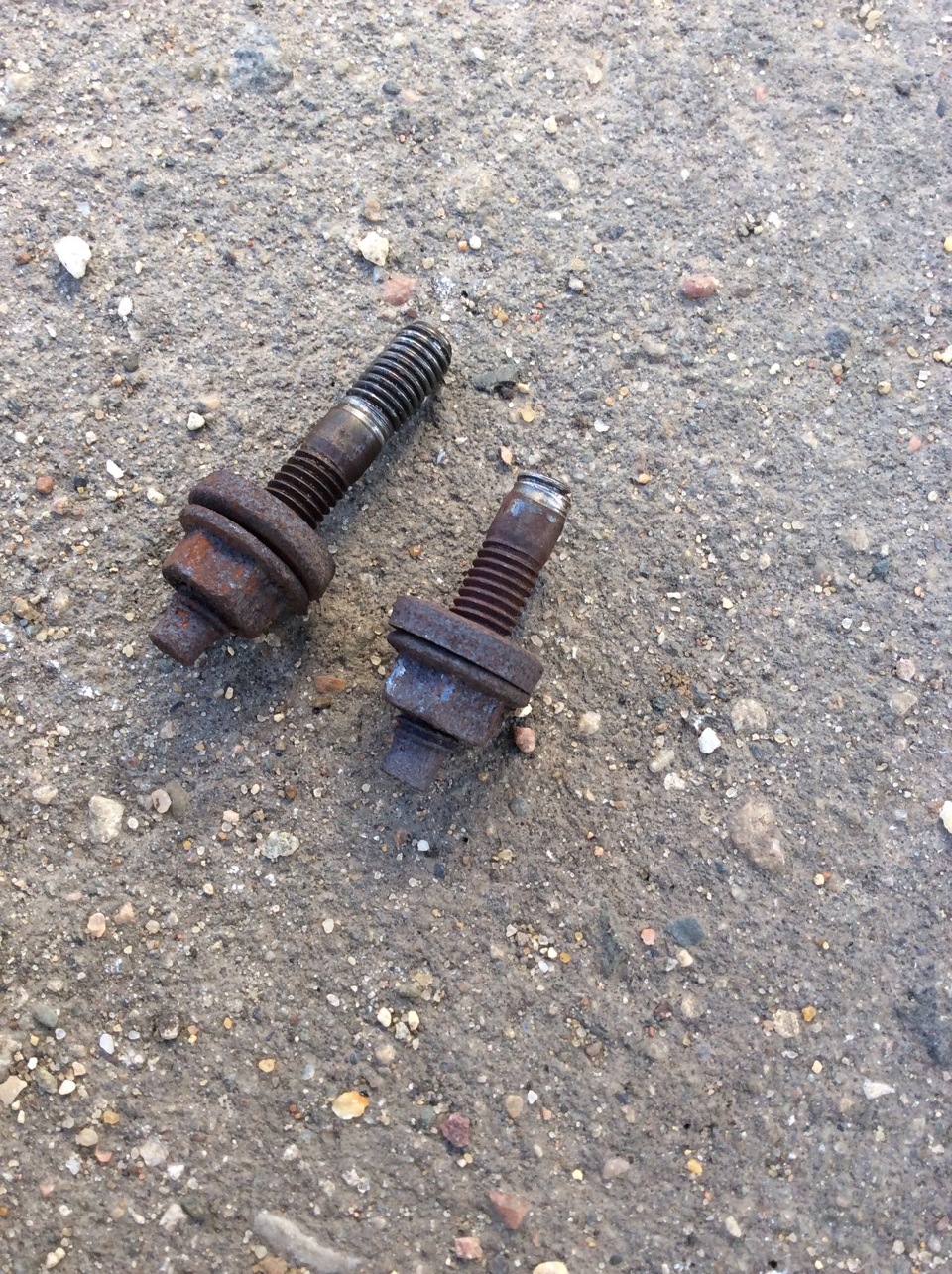Фото в бортжурнале Peugeot 307