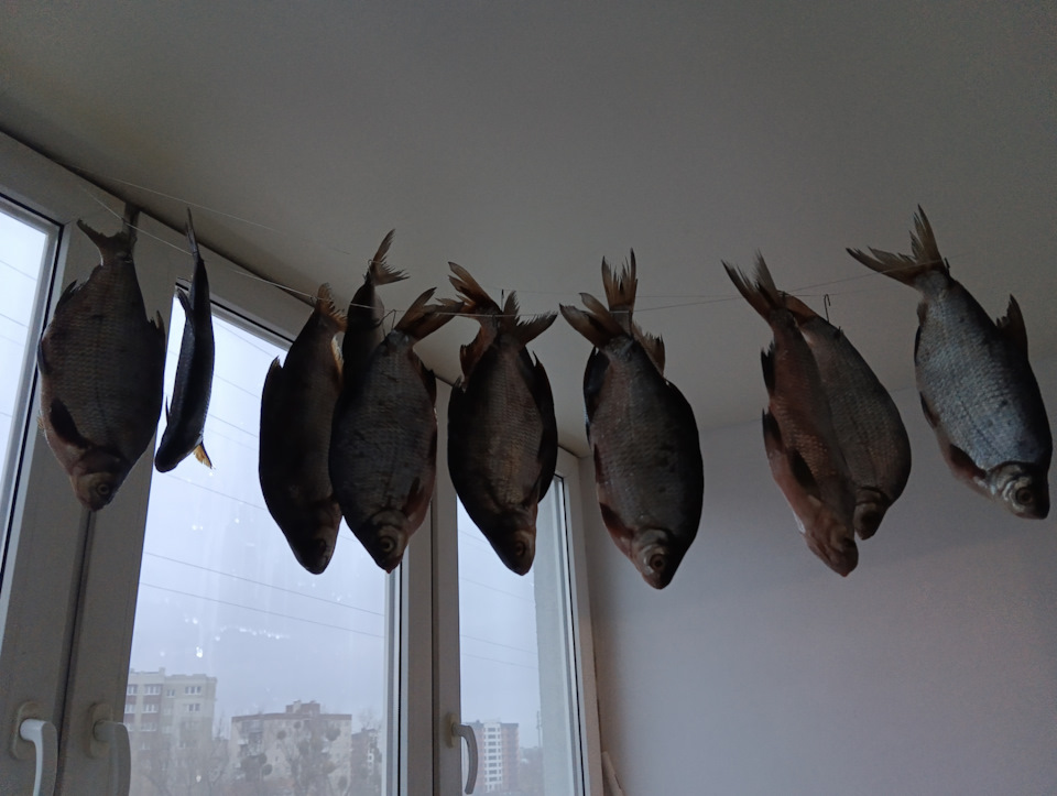 Фото в бортжурнале KIA Sportage (2G)