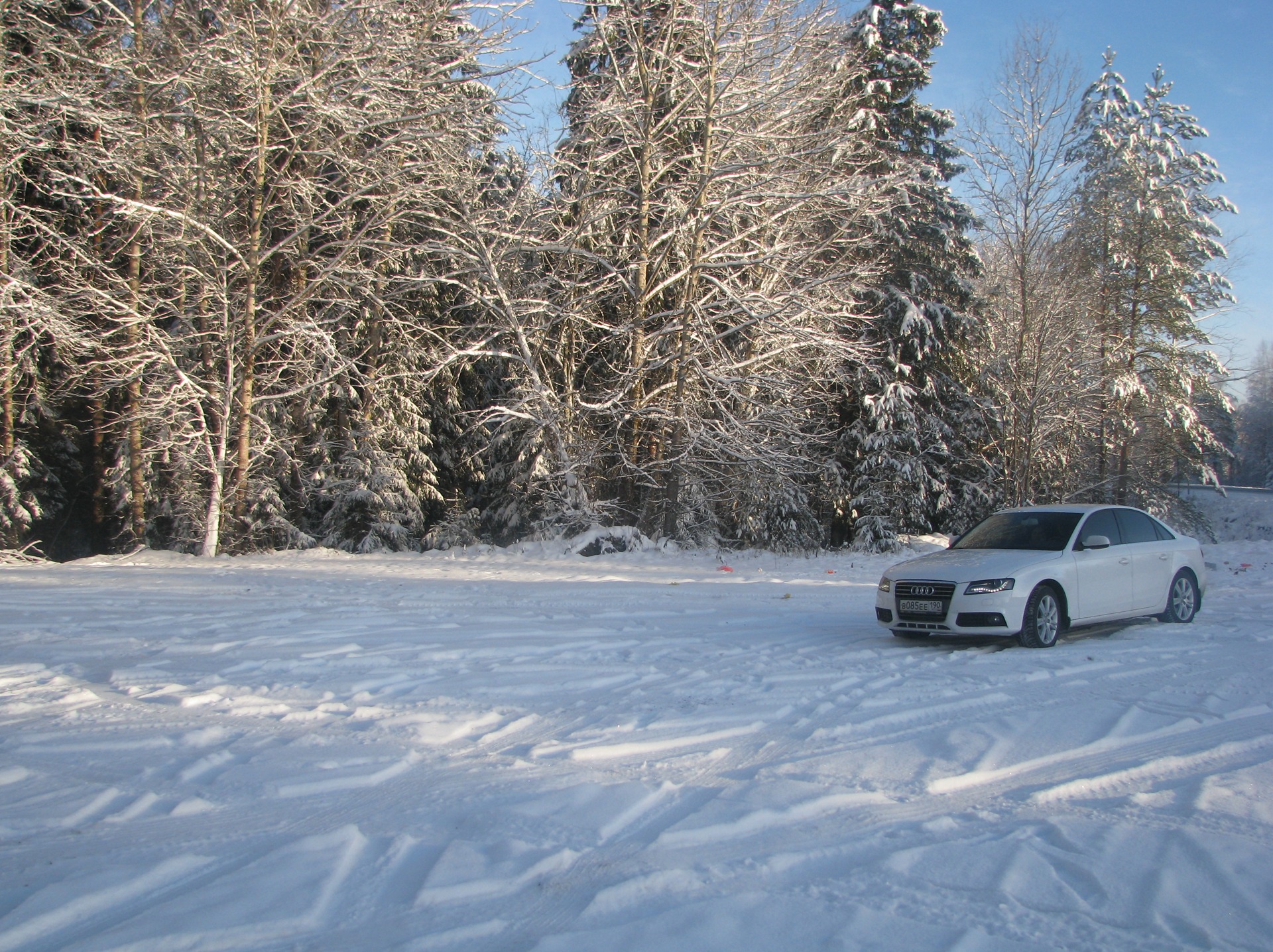 Путешествие Москва-Псков-Москва — Audi A4 (B8), 1,8 л, 2010 года |  путешествие | DRIVE2