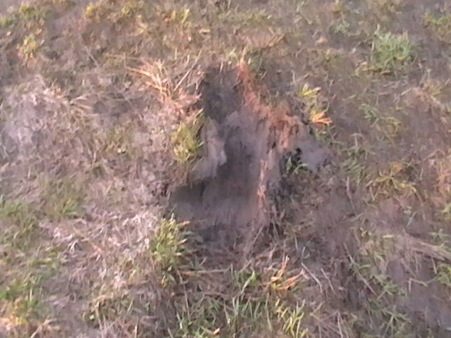 Замена вакуума — Lada 2114, 1,6 л, 2010 года | своими руками | DRIVE2