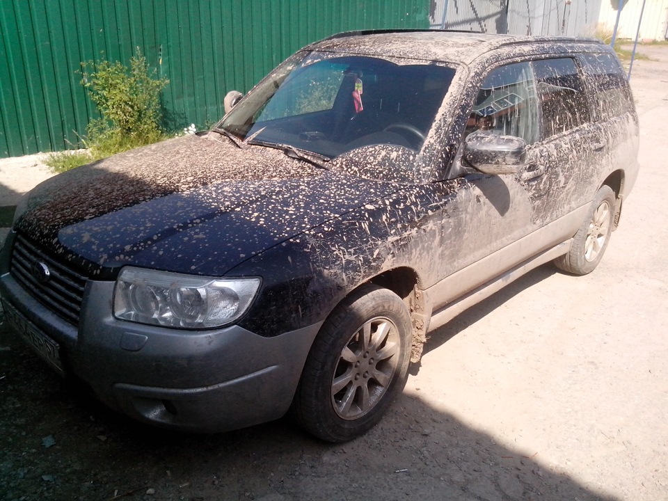 Грязнуля — DRIVE2