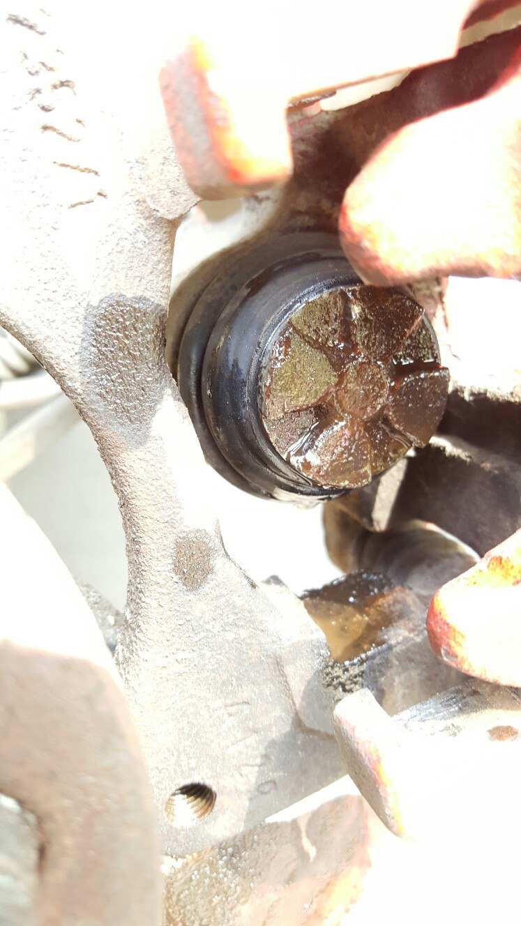 Фото в бортжурнале Nissan Primera (P11)