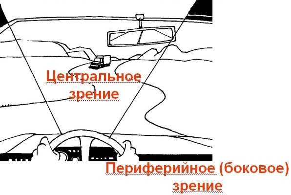 Периферийное зрение. Центральное и периферическое зрение. Боковое зрение. Боковое зрение и периферическое.