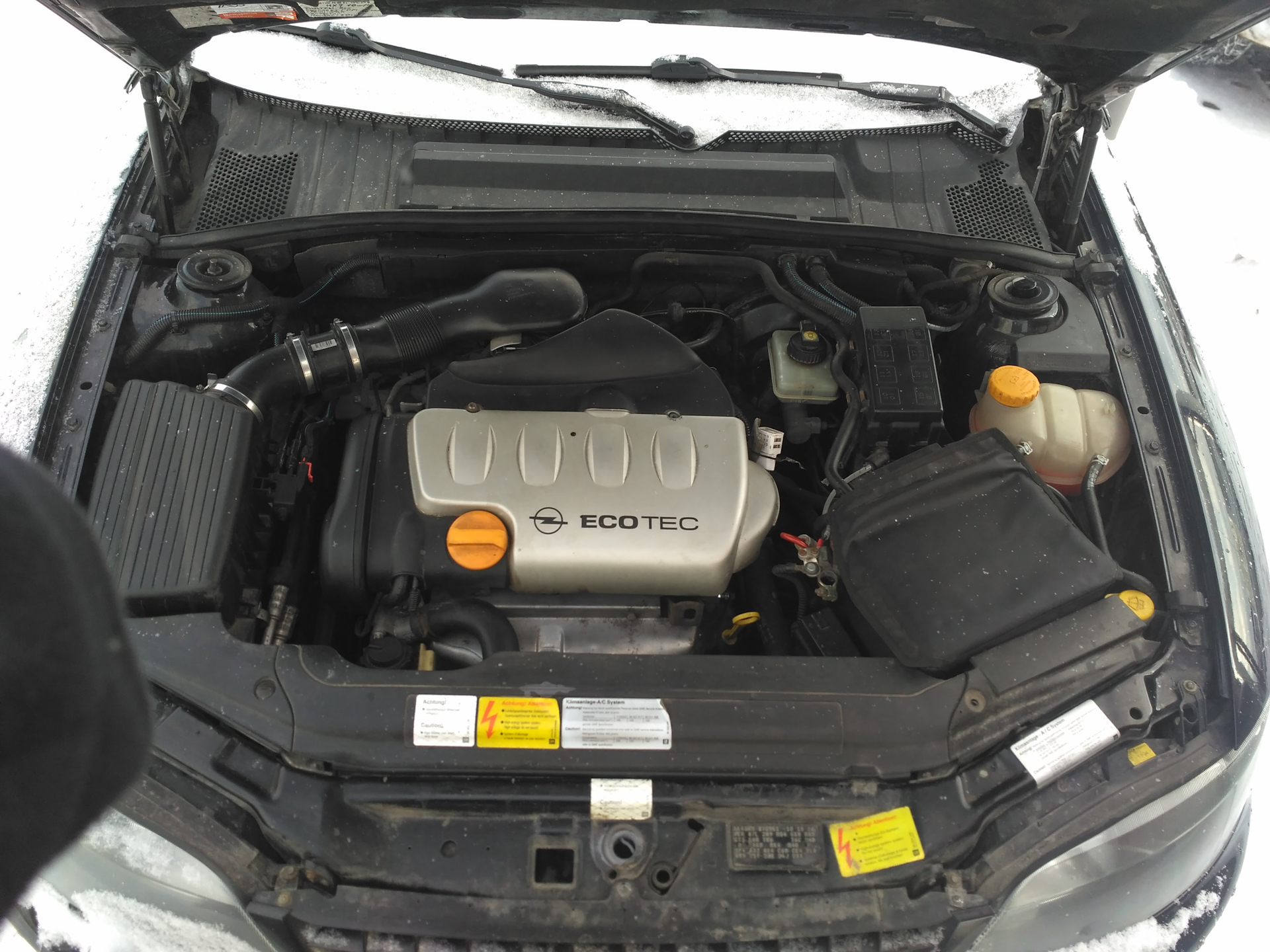 Вектра б 1.8 бензин. Opel Vectra b x18xe под капотом. Опель Вектра б 1.6 под капотом. Опель Вектра б 1.8 под капотом. Vectra b 2.0 DTL под капотом.