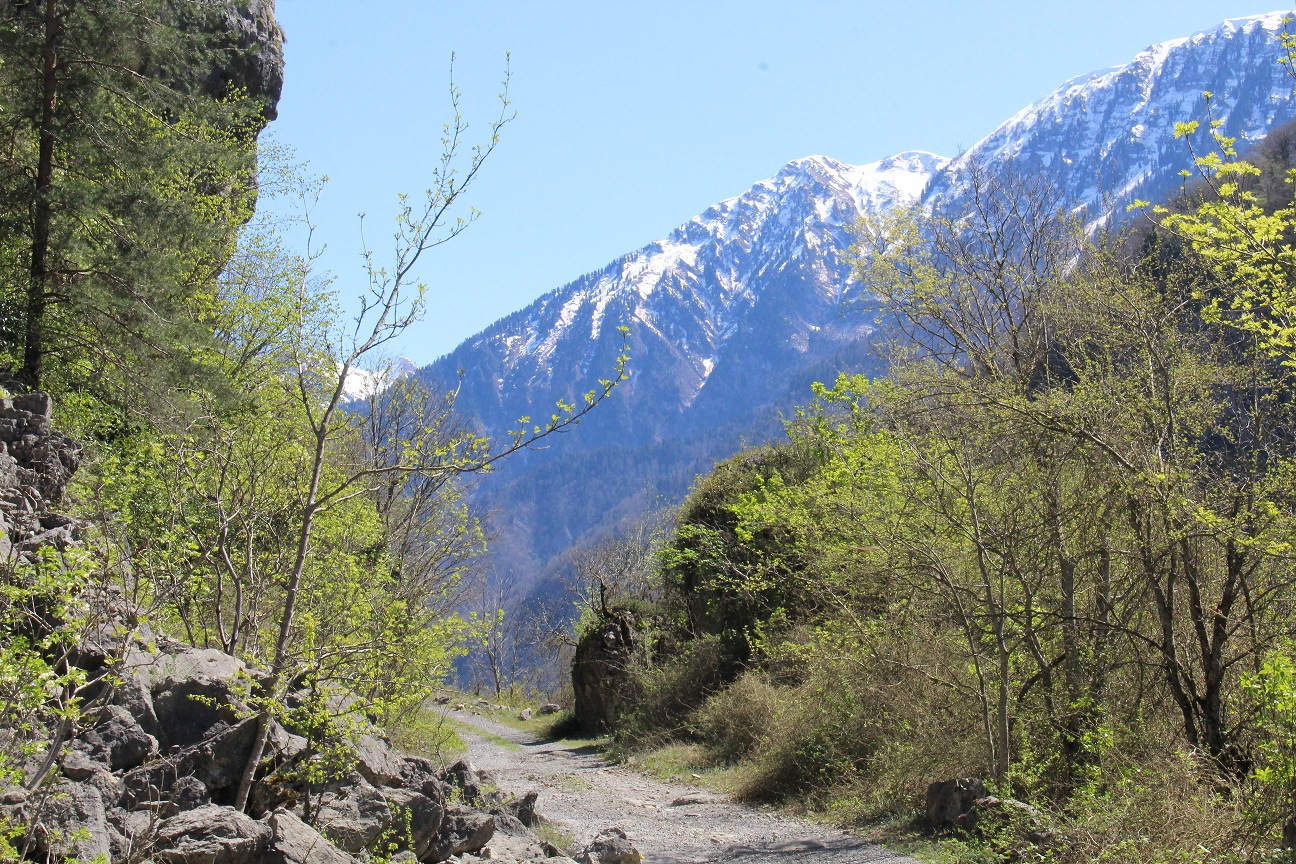 Абхазия в апреле фото