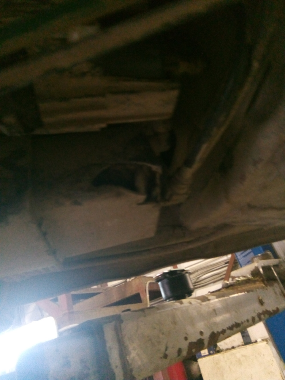 Советом помогите. — Renault Laguna II, 1,8 л, 2003 года | расходники ...