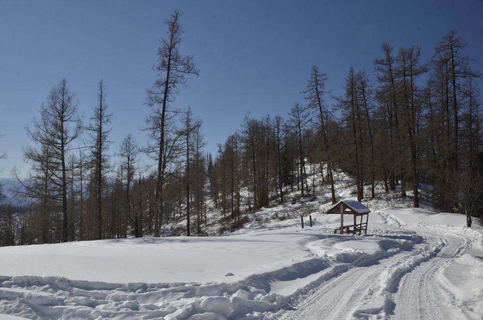Фото в бортжурнале УАЗ Patriot