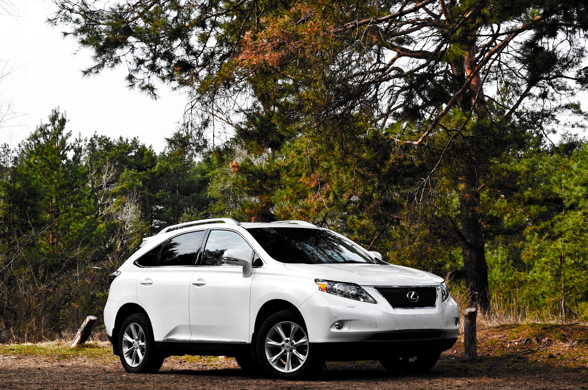 Lexus rx350 фото