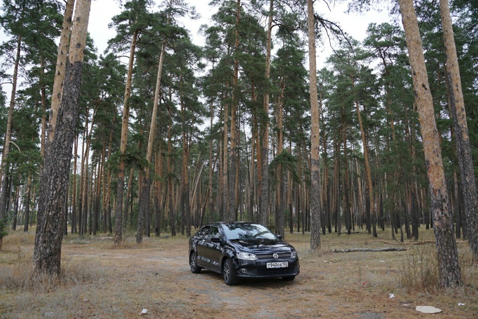 Моя поездка в Липецк 10.10.15 — Volkswagen Polo Sedan, 1,6 л, 2011 года ...