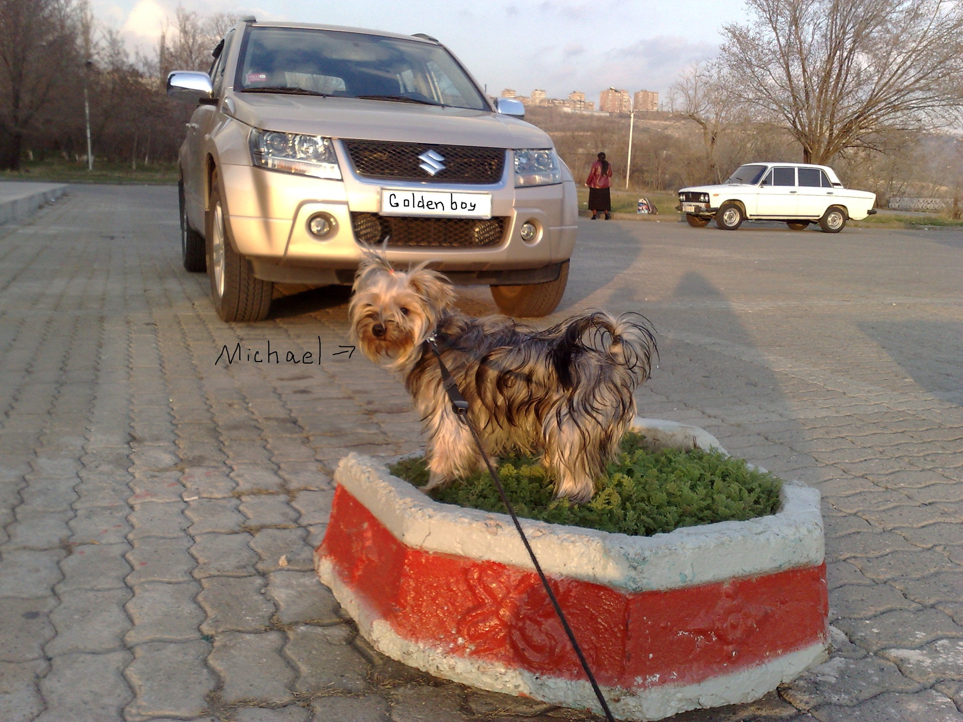 Проделки Маленького проказника — Suzuki Grand Vitara (2G), 2 л, 2008 года |  фотография | DRIVE2