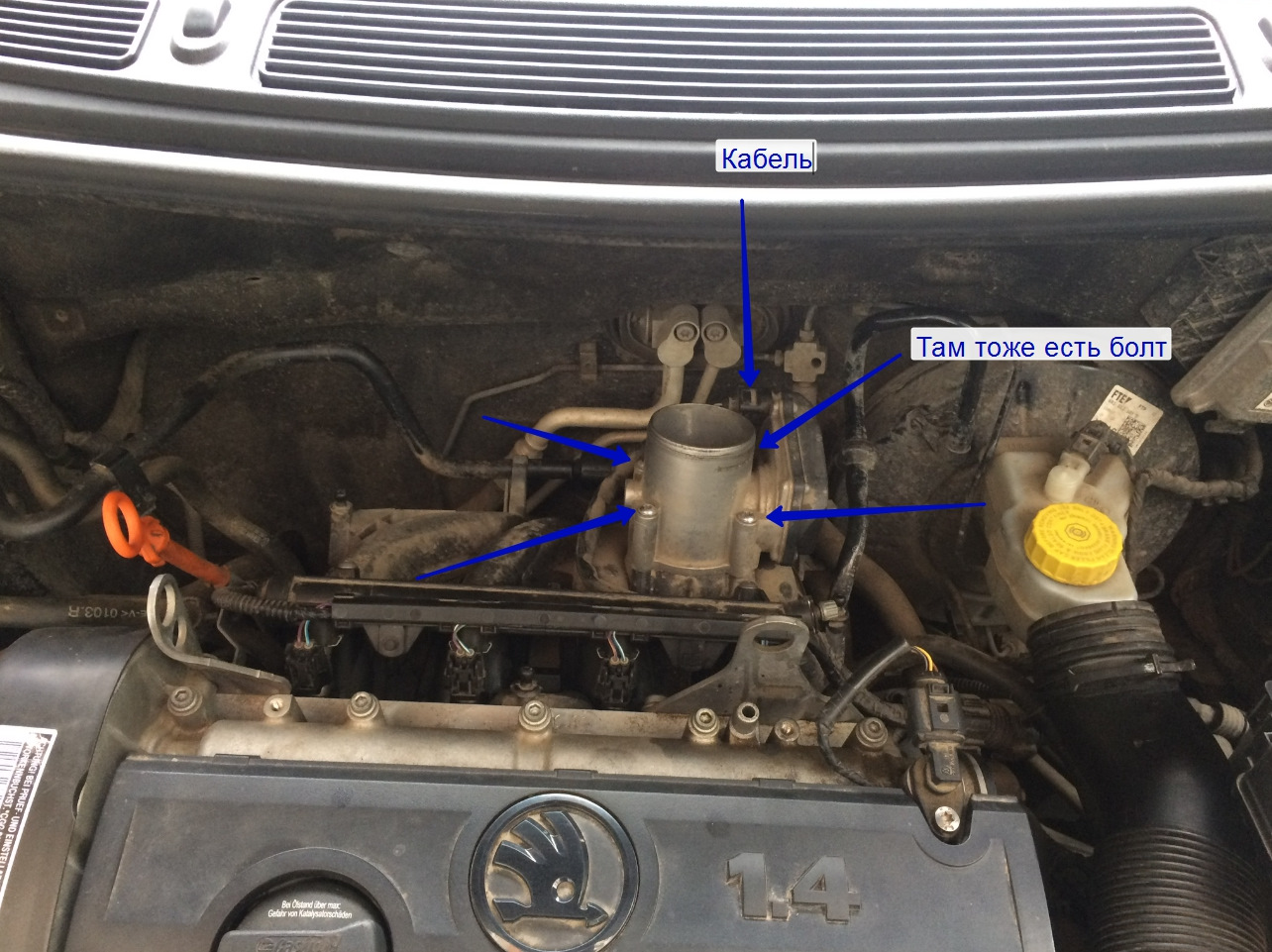 4.3. Устранение проблемы ч.3 Подергивание на холостом ходу. Чистка  Дросселя. Проверка Катушек. Skoda Fabia 1.4 — Skoda Fabia Mk2, 1,4 л, 2013  года | своими руками | DRIVE2