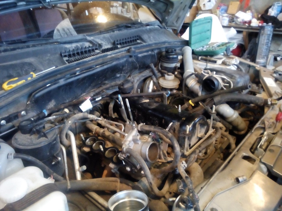 в какую сторону крутится двигатель нива шевроле. Смотреть фото в какую сторону крутится двигатель нива шевроле. Смотреть картинку в какую сторону крутится двигатель нива шевроле. Картинка про в какую сторону крутится двигатель нива шевроле. Фото в какую сторону крутится двигатель нива шевроле в какую сторону крутится двигатель нива шевроле. Смотреть фото в какую сторону крутится двигатель нива шевроле. Смотреть картинку в какую сторону крутится двигатель нива шевроле. Картинка про в какую сторону крутится двигатель нива шевроле. Фото в какую сторону крутится двигатель нива шевроле