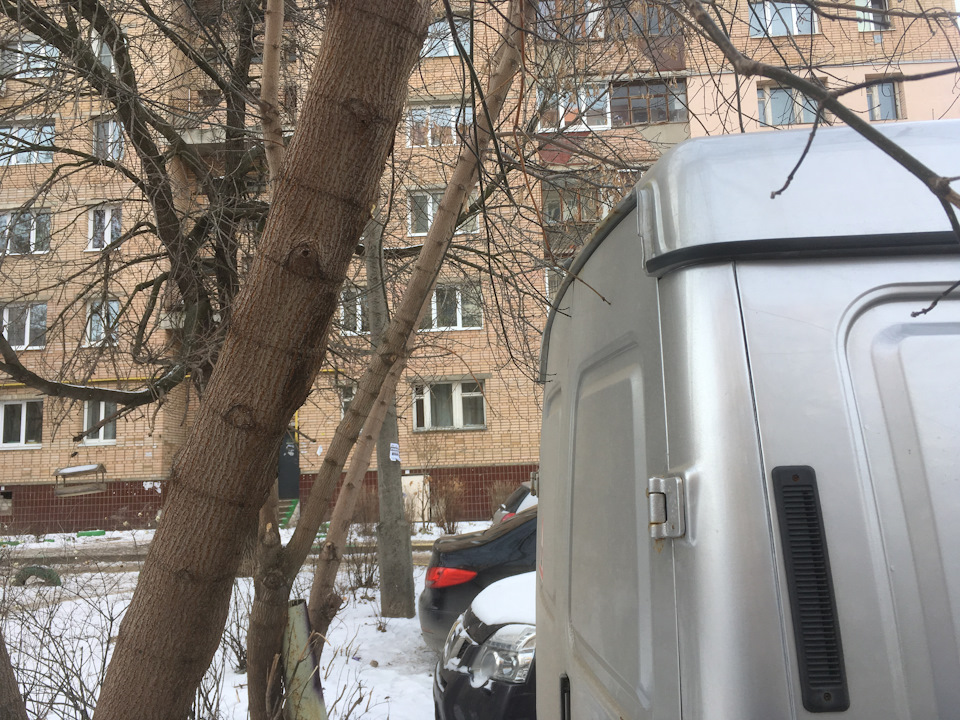 Грусти пост, или как эго не влезло под дерево, красить или пока нет ...