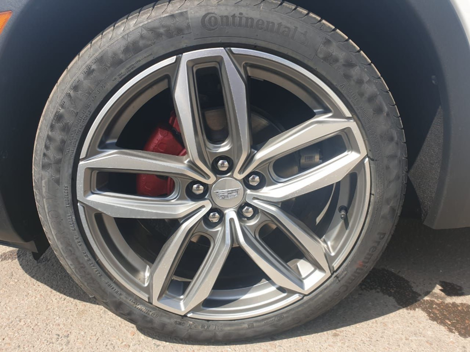 Фото в бортжурнале Cadillac XT4