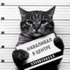 автобокс на крышу maxbox pro 460л. Смотреть фото автобокс на крышу maxbox pro 460л. Смотреть картинку автобокс на крышу maxbox pro 460л. Картинка про автобокс на крышу maxbox pro 460л. Фото автобокс на крышу maxbox pro 460л
