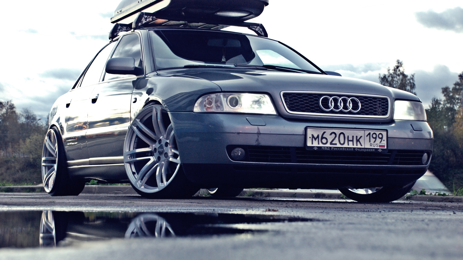 Audi A4 (B5) 2.4 бензиновый 1999 | Wild cat / 20