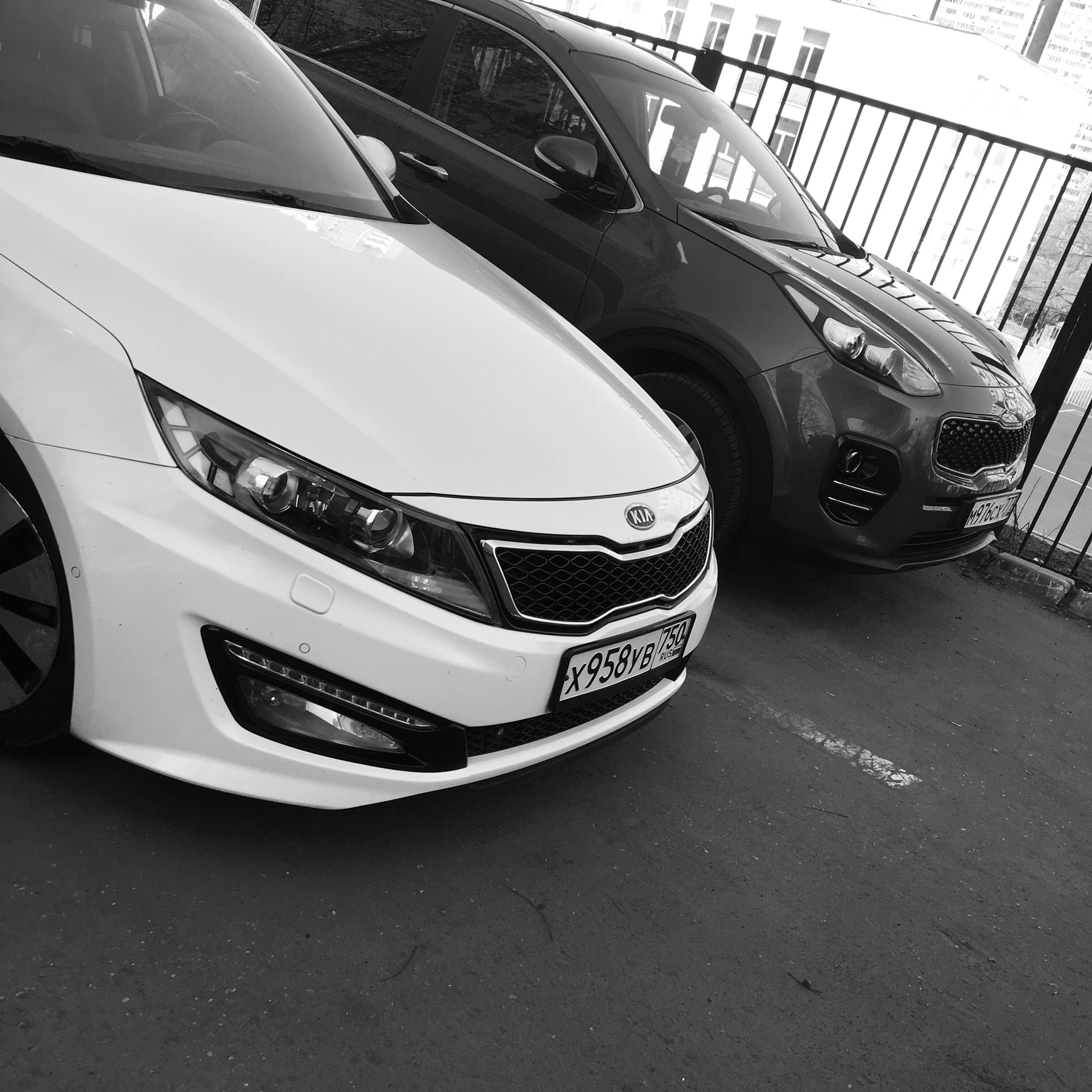 Клубный сервис — KIA Optima (3G), 2,4 л, 2012 года | плановое ТО | DRIVE2