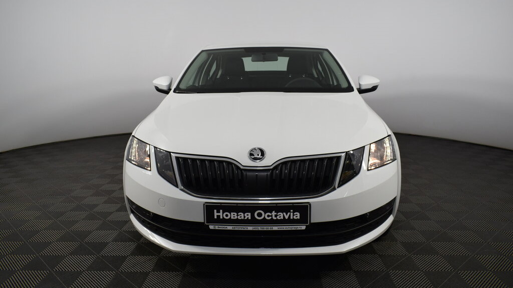 Skoda Octavia a7 зима