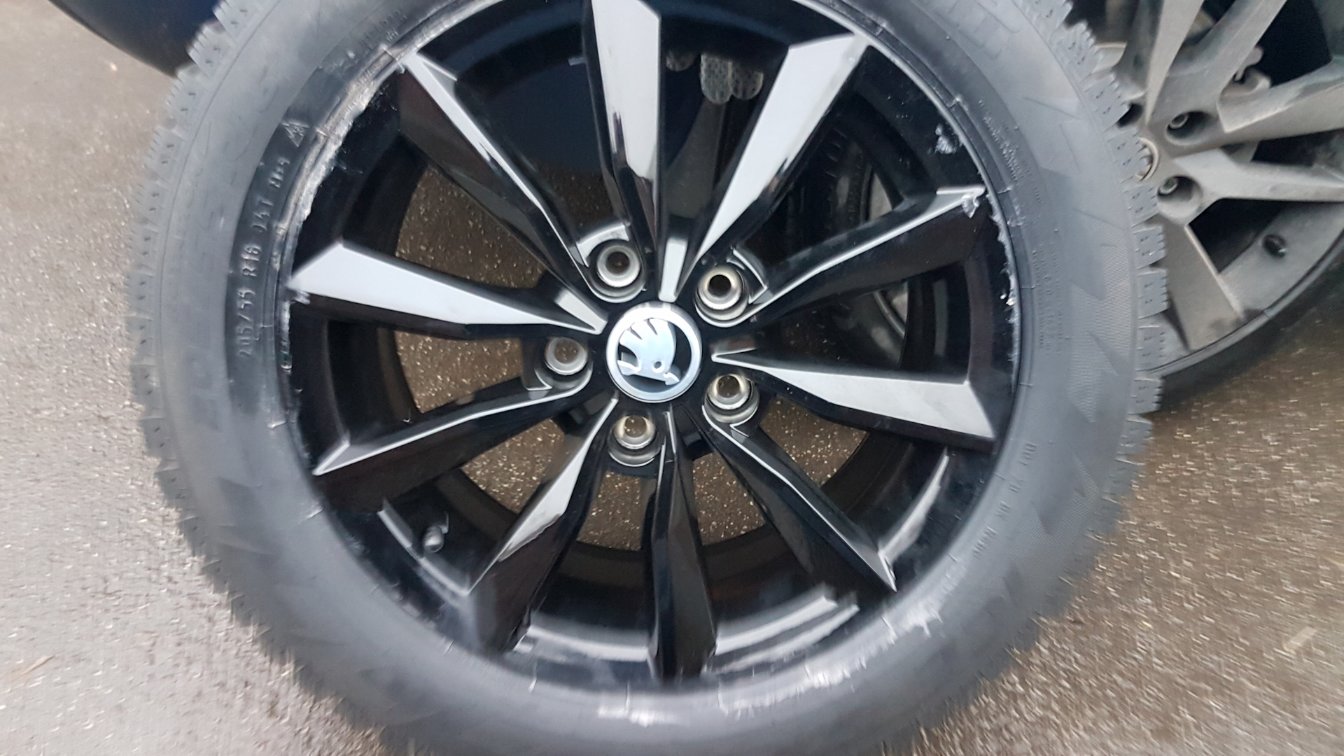 6.5 jx17. Trius 7.0jx17 et49. Диски r16 Skoda premia черные. Skoda Trius Black. 7.0Jx17 et49. Шкода диск Триус 17.